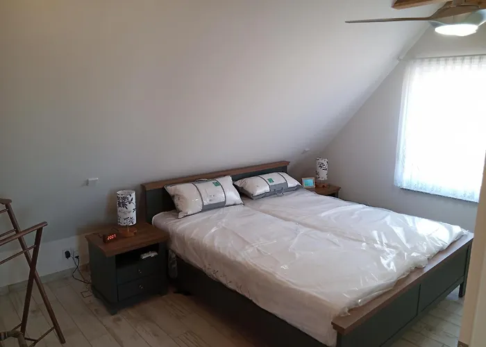 Zur Windmuehle Apartment Pegau