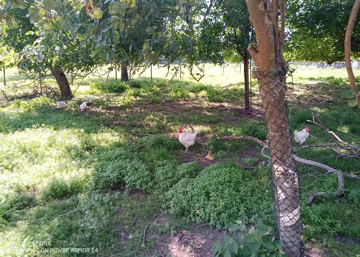 Apartment Zur Windmuehle