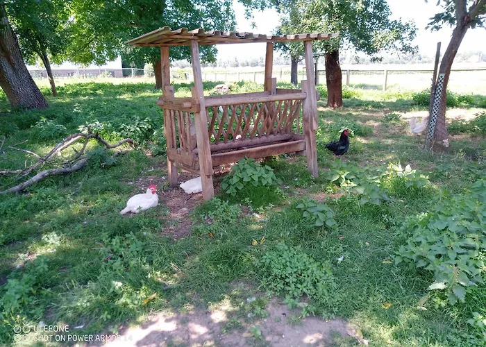 Zur Windmuehle Apartment Pegau